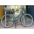 Hawk Classic Vintage Bike